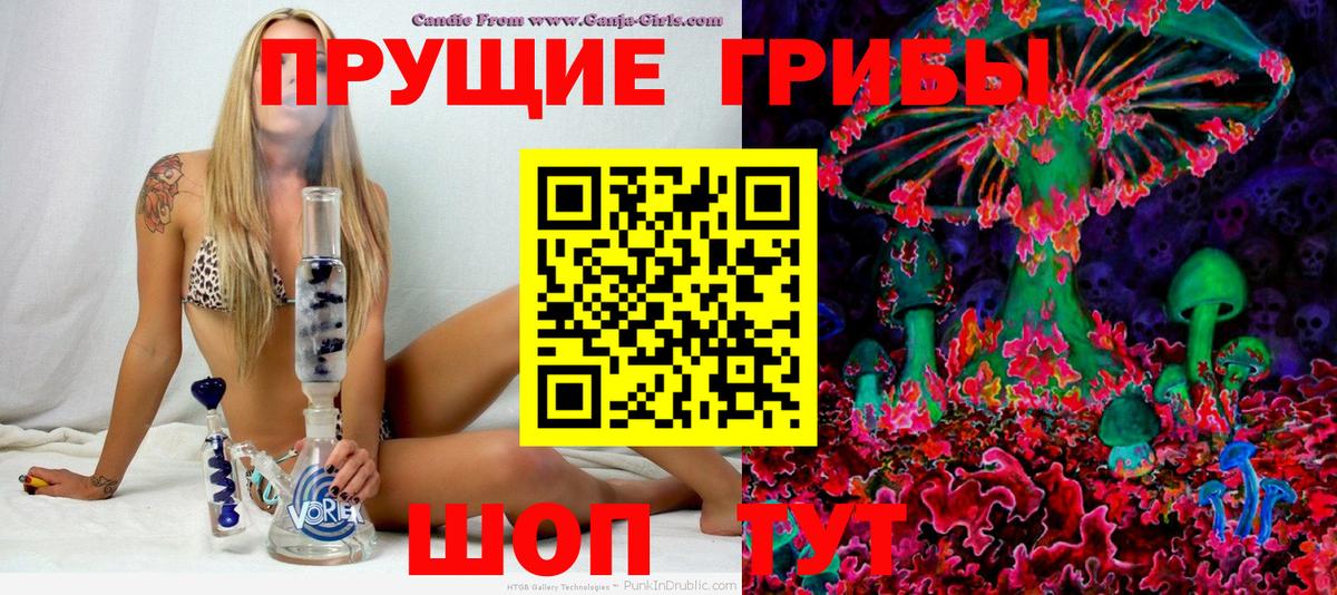 Псилоцибиновые грибы Psilocybine cubensis  где купить наркотик  Юрга  Вход с VPN 